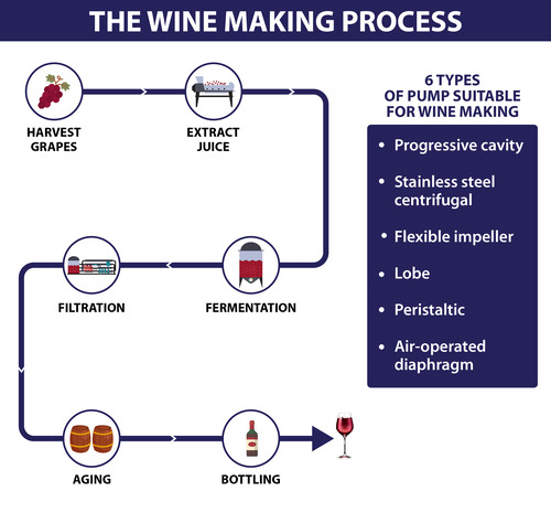 Winery Pumps: Which one to choose?
